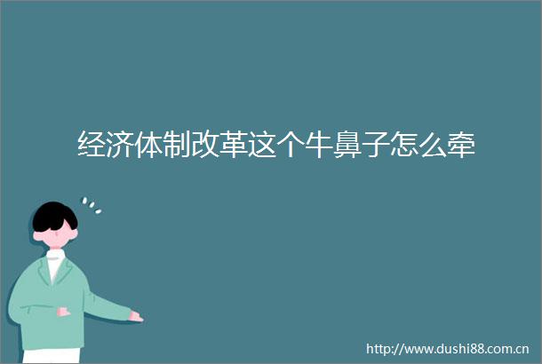 经济体制改革这个牛鼻子怎么牵