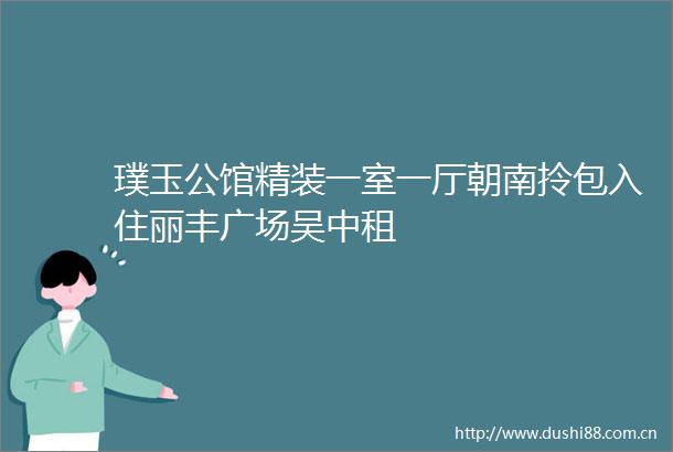 璞玉公馆精装一室一厅朝南拎包入住丽丰广场吴中租