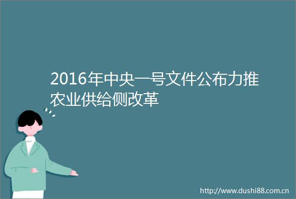 2016年中央一号文件公布力推农业供给侧改革