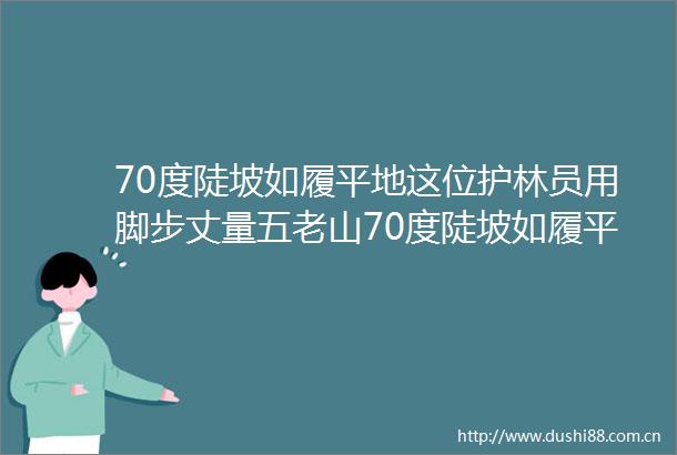70度陡坡如履平地这位护林员用脚步丈量五老山70度陡坡如履平地这位护林员用脚步丈量五老山