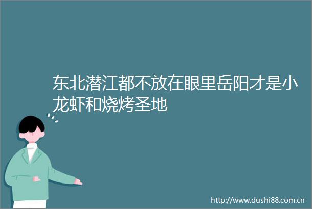 东北潜江都不放在眼里岳阳才是小龙虾和烧烤圣地