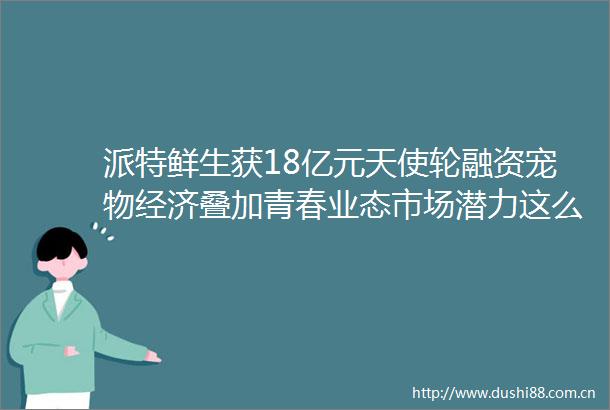 派特鲜生获18亿元天使轮融资宠物经济叠加青春业态市场潜力这么大