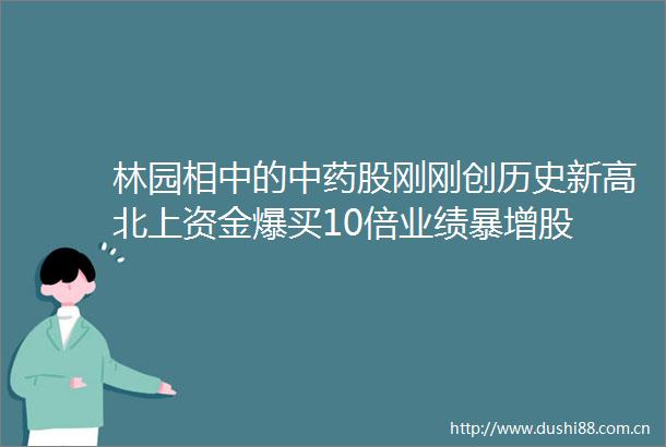 林园相中的中药股刚刚创历史新高北上资金爆买10倍业绩暴增股