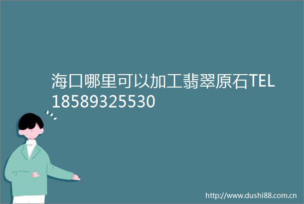 海口哪里可以加工翡翠原石TEL18589325530