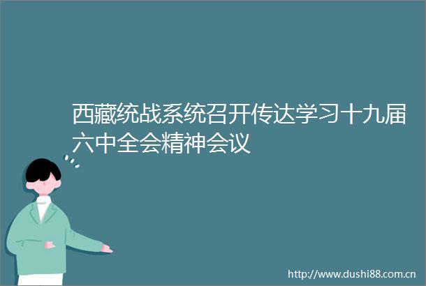 西藏统战系统召开传达学习十九届六中全会精神会议