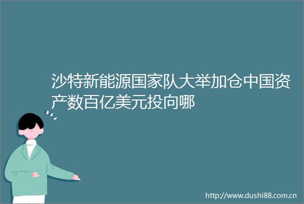 沙特新能源队大举加仓资产数百亿美元投向哪