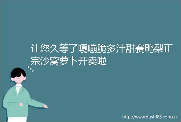 让您久等了嘎嘣脆多汁甜赛鸭梨正宗沙窝萝卜开卖啦
