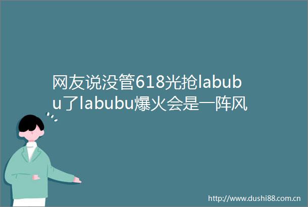 网友说没管618光抢labubu了labubu爆火会是一阵风吗