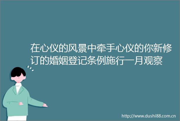 在心仪的风景中牵手心仪的你新修订的婚姻登记条例施行一月观察