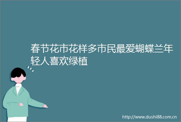 春节花市花样多市民最爱蝴蝶兰年轻人喜欢绿植