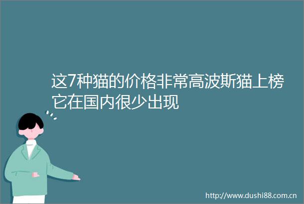 这7种猫的价格非常高波斯猫上榜它在国内很少出现