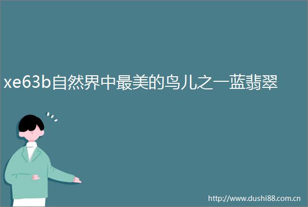 xe63b自然界中最美的鸟儿之一蓝翡翠