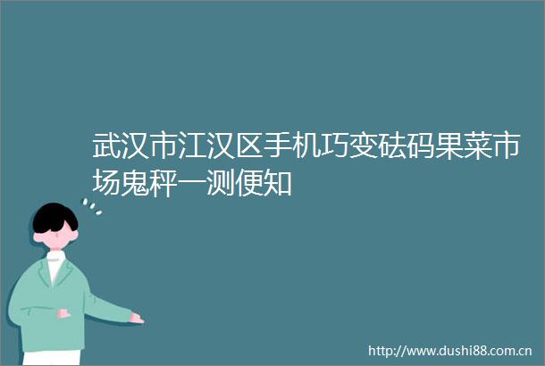 武汉市江汉区手机巧变砝码果菜市场鬼秤一测便知
