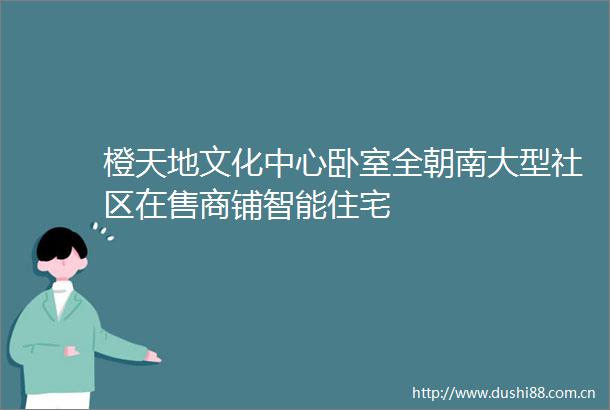 橙天地文化中心卧室全朝南大型社区在售商铺智能住宅