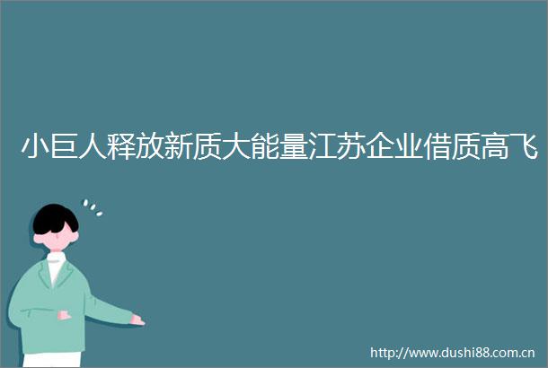 小巨人释放新质大能量江苏企业借质高飞