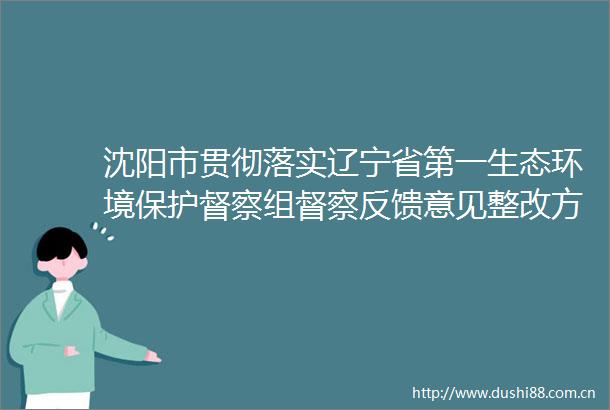 沈阳市贯彻落实辽宁省第一生态环境保护督察组督察反馈意见整改方案第二项整改任务整改结果公示