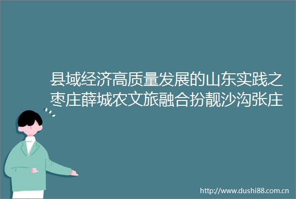 县域经济高质量发展的山东实践之枣庄薛城农文旅融合扮靓沙沟张庄石榴风景区