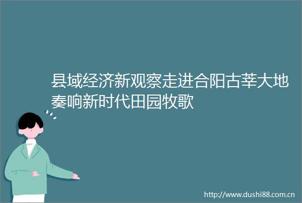 县域经济新观察走进合阳古莘大地奏响新时代田园牧歌