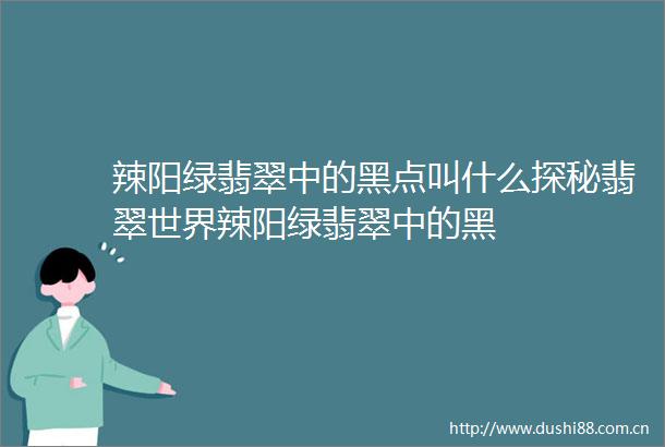 辣阳绿翡翠中的黑点叫什么探秘翡翠世界辣阳绿翡翠中的黑