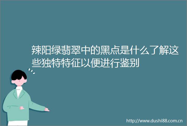 辣阳绿翡翠中的黑点是什么了解这些独特特征以便进行鉴别