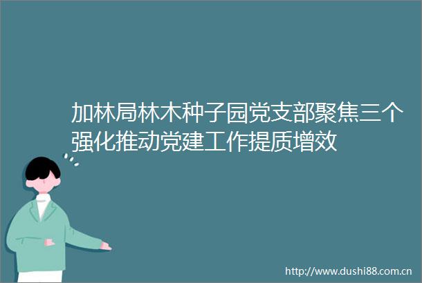 加林局林木种子园党支部聚焦三个强化推动党建工作提质增效