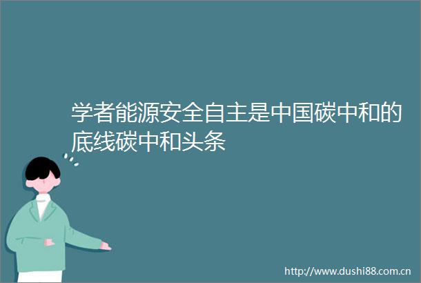 学者能源安全自主是碳中和的底线碳中和头条