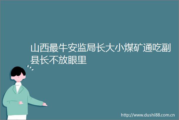 山西最牛安监局长大小煤矿通吃副县长不放眼里