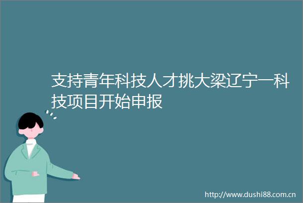 支持青年科技人才挑大梁辽宁一科技项目开始申报