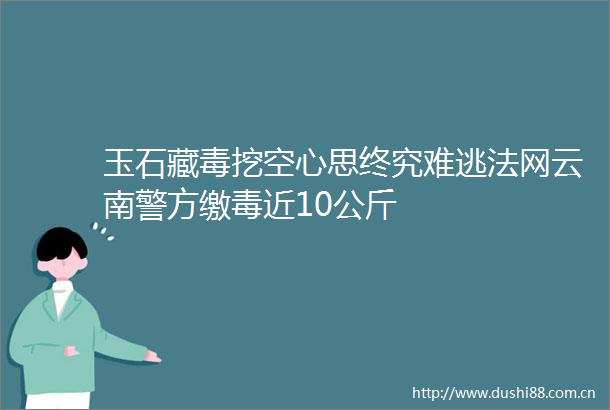玉石藏毒挖空心思终究难逃法网云南警方缴毒近10公斤
