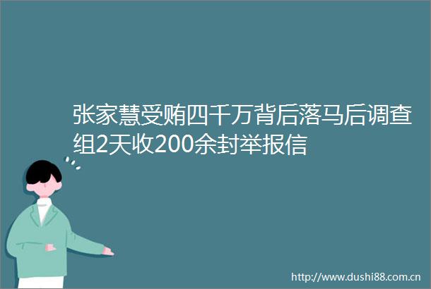 张家慧四千万背后落马后调查组2天收200余封信