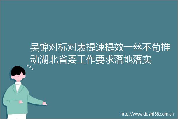 吴锦对标对表提速提效一丝不苟推动湖北省委工作要求落地落实