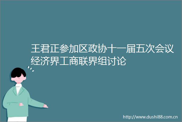 王君正参加区政协十一届五次会议经济界工商联界组讨论