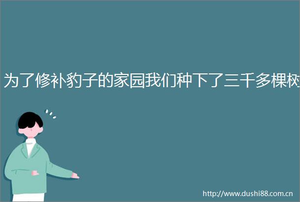 为了修补豹子的家园我们种下了三千多棵树