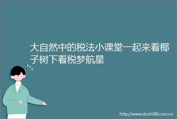 大自然中的税法小课堂一起来看椰子树下看税梦航星