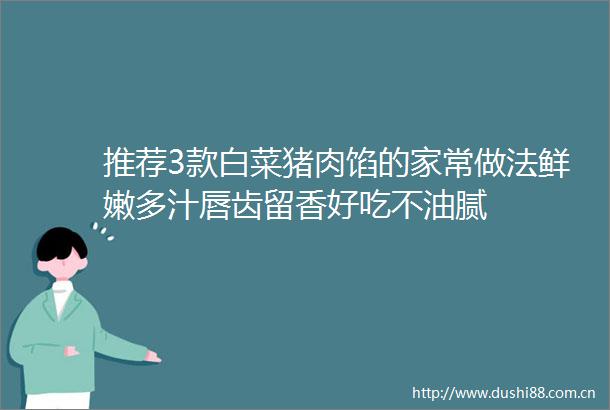 推荐3款白菜猪肉馅的家常做法鲜嫩多汁唇齿留香好吃不油腻