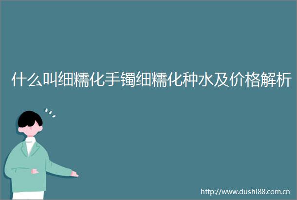 什么叫细糯化手镯细糯化种水及价格解析