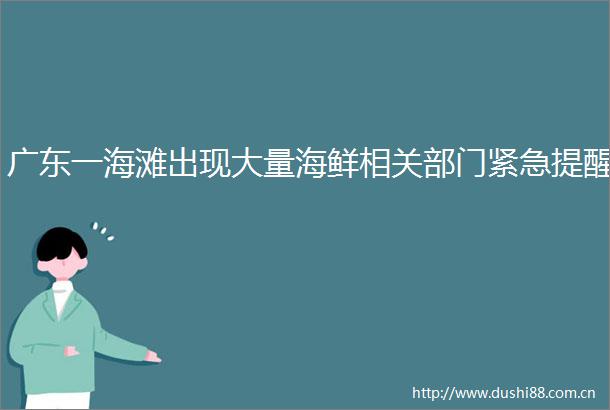广东一海滩出现大量海鲜相关部门紧急提醒