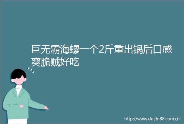 巨无霸海螺一个2斤重出锅后口感爽脆贼好吃
