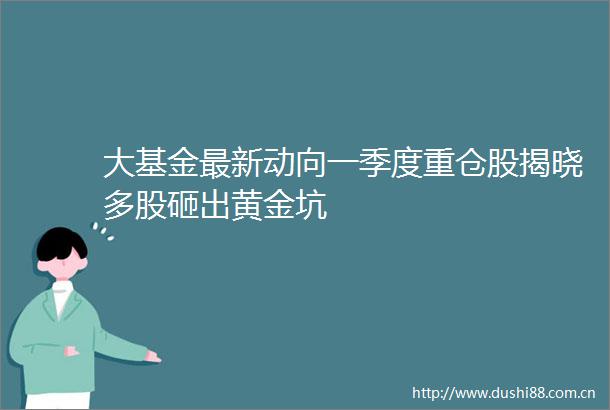 大基金最新动向一季度重仓股揭晓多股砸出黄金坑