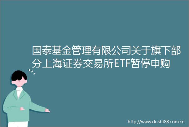 国泰基金管理有限公司关于旗下部分上海证券交易所ETF暂停申购赎回业务的公告