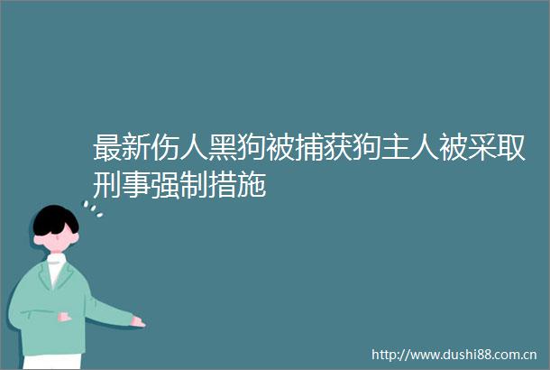 最新伤人黑狗被捕获狗主人被采取刑事强制措施