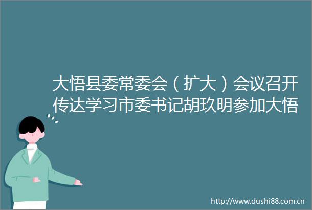 大悟县委常委会（扩大）会议召开传达学习市委书记胡玖明参加大悟代表团审议时的讲话精神和市两会精神
