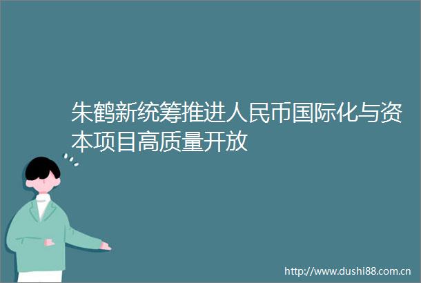 朱鹤新统筹推进币国际化与资本项目高质量开放