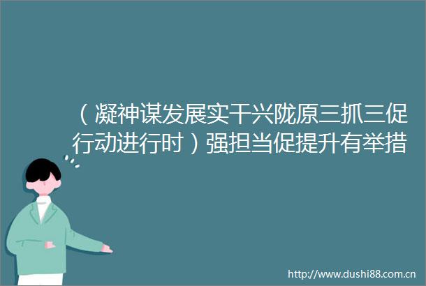 （凝神谋发展实干兴陇原三抓三促行动进行时）强担当促提升有举措见成效