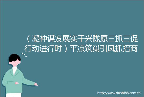 （凝神谋发展实干兴陇原三抓三促行动进行时）平凉筑巢引凤抓招商项目落地有保障