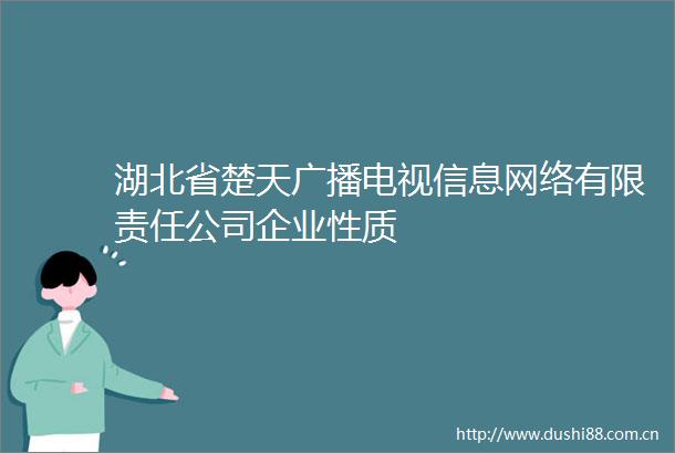 湖北省楚天广播电视信息网络有限责任公司企业性质