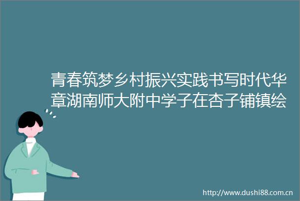 青春筑梦乡村振兴实践书写时代华章湖南师大附中学子在杏子铺镇绘就多彩实践长卷