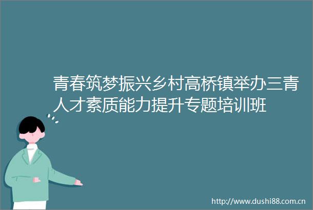 青春筑梦振兴乡村高桥镇举办三青人才素质能力提升专题培训班