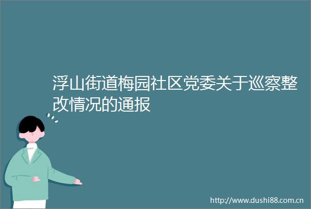 浮山街道梅园社区党委关于巡察整改情况的通报