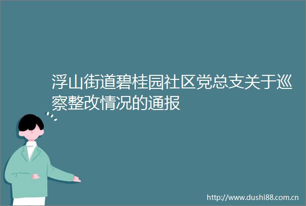 浮山街道碧桂园社区党总支关于巡察整改情况的通报